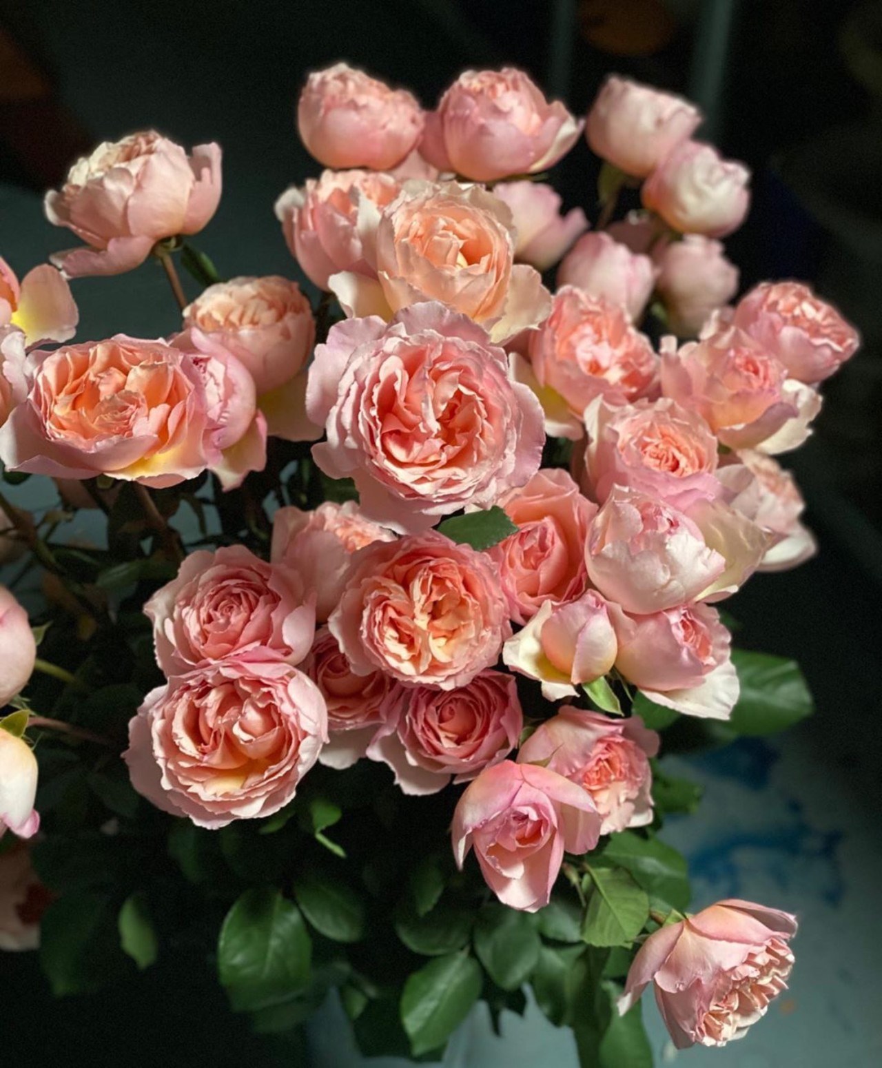 Цветочная плантация ALEXANDRA FARMS (Колумбия)