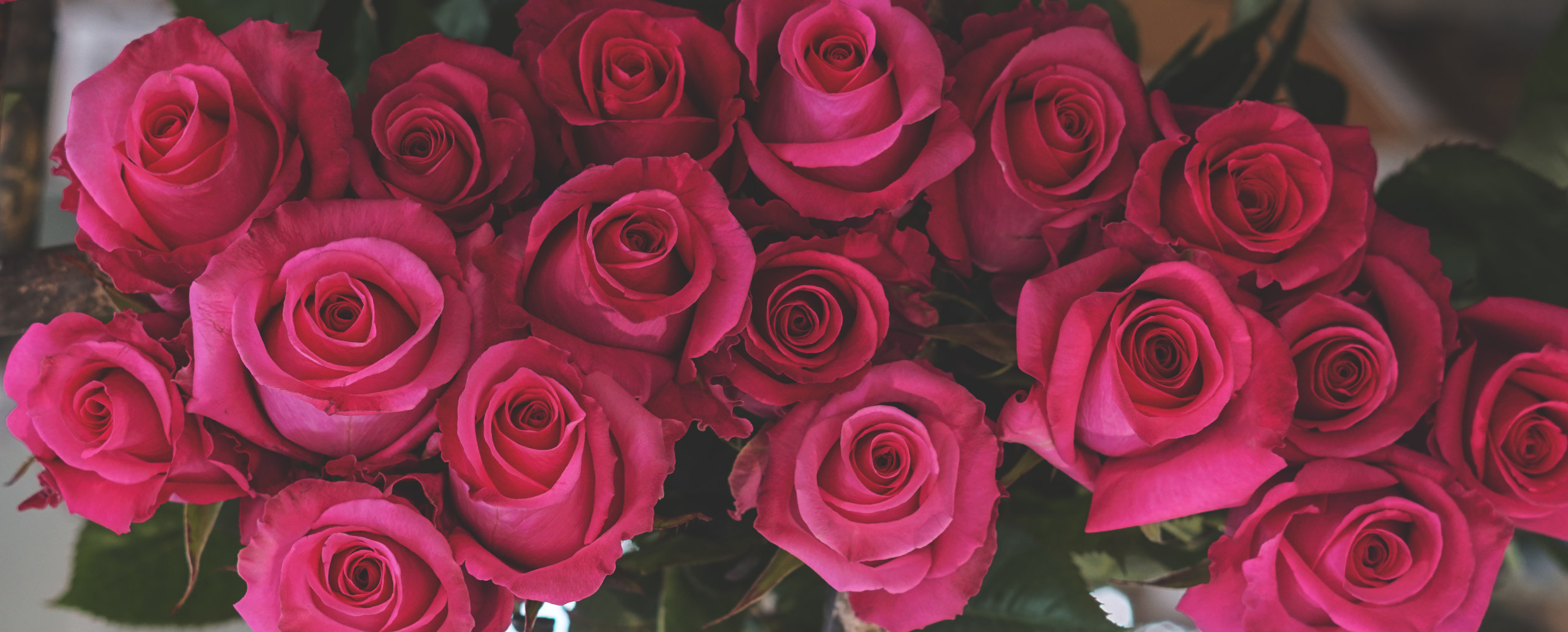 Ферма Agrogana (Эквадор)