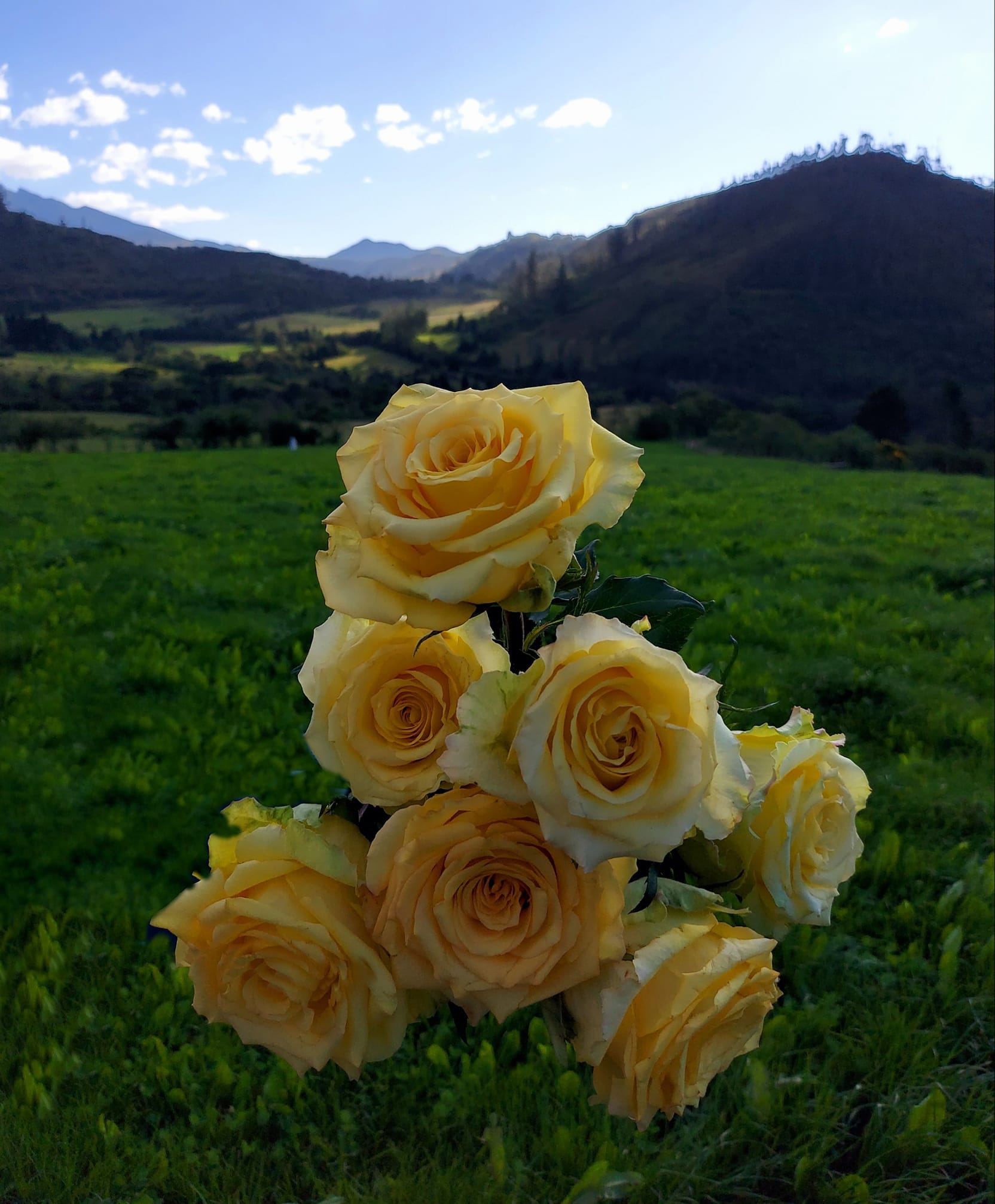 Ферма Agrogana (Эквадор)