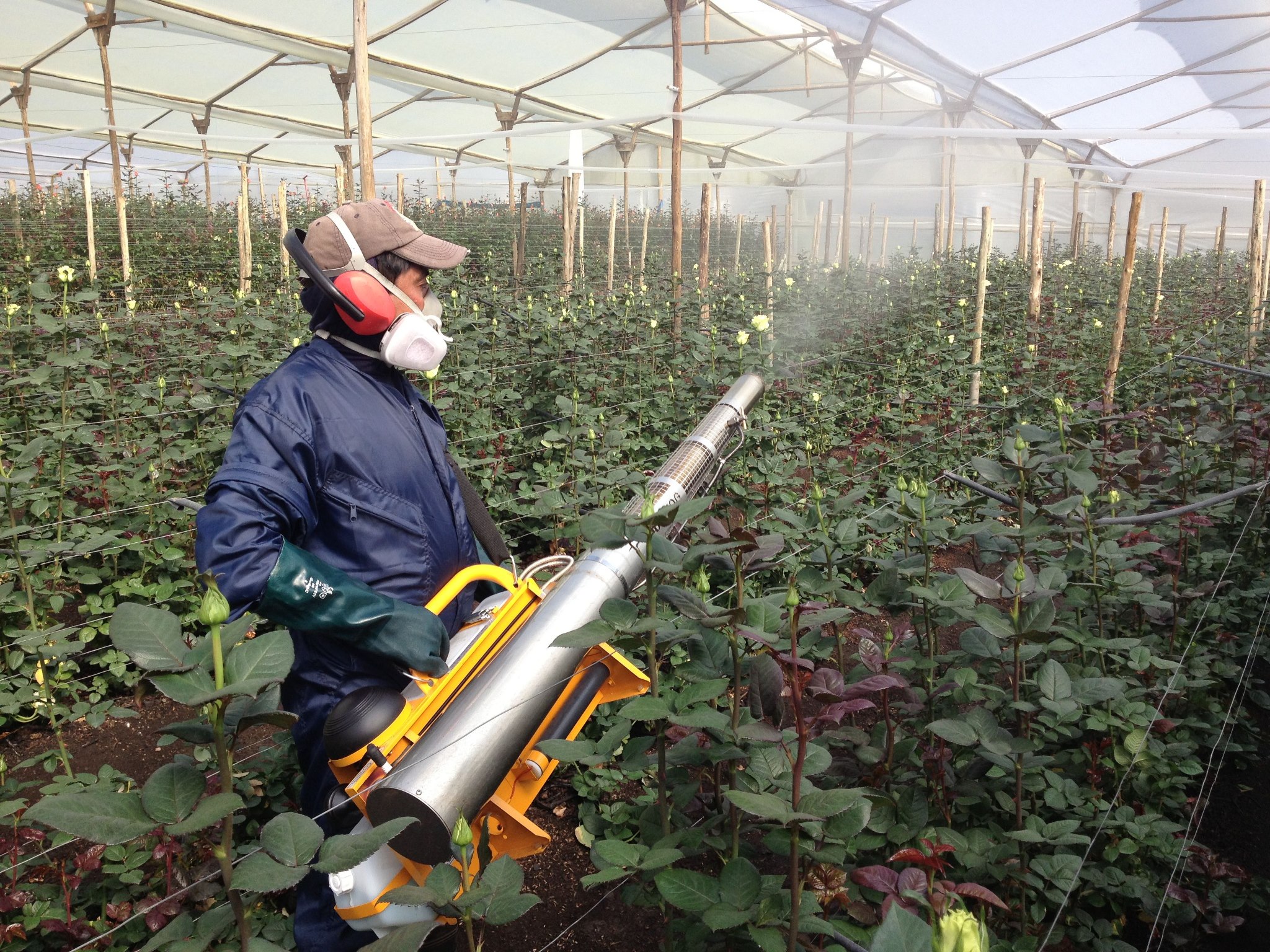 Ферма Agrogana (Эквадор)