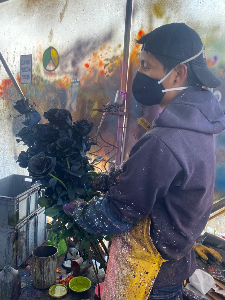 Ферма Agrogana (Эквадор)