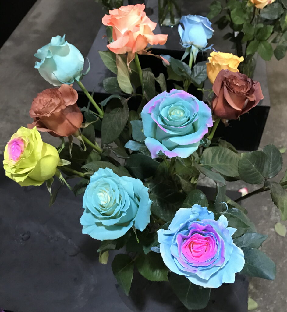 Ферма Agrogana (Эквадор)