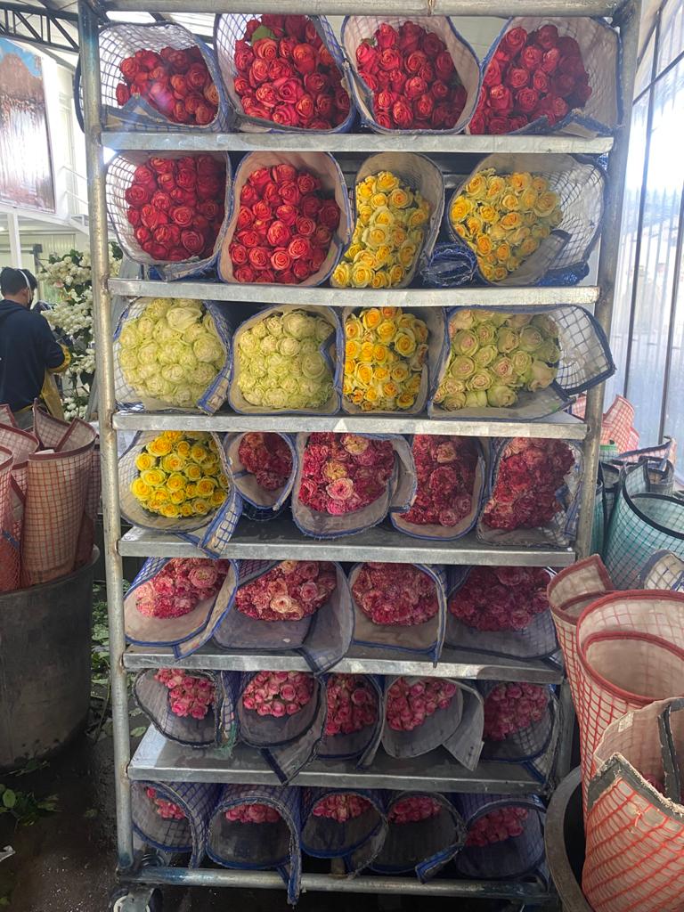 Ферма Agrogana (Эквадор)