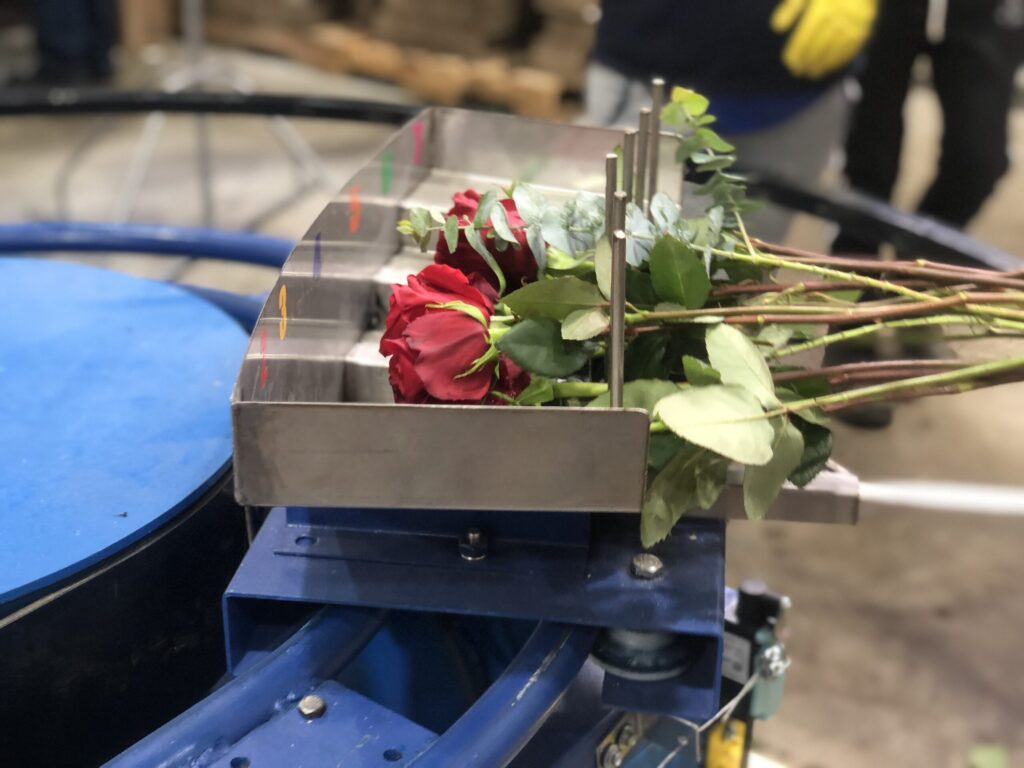 Ферма Agrogana (Эквадор)