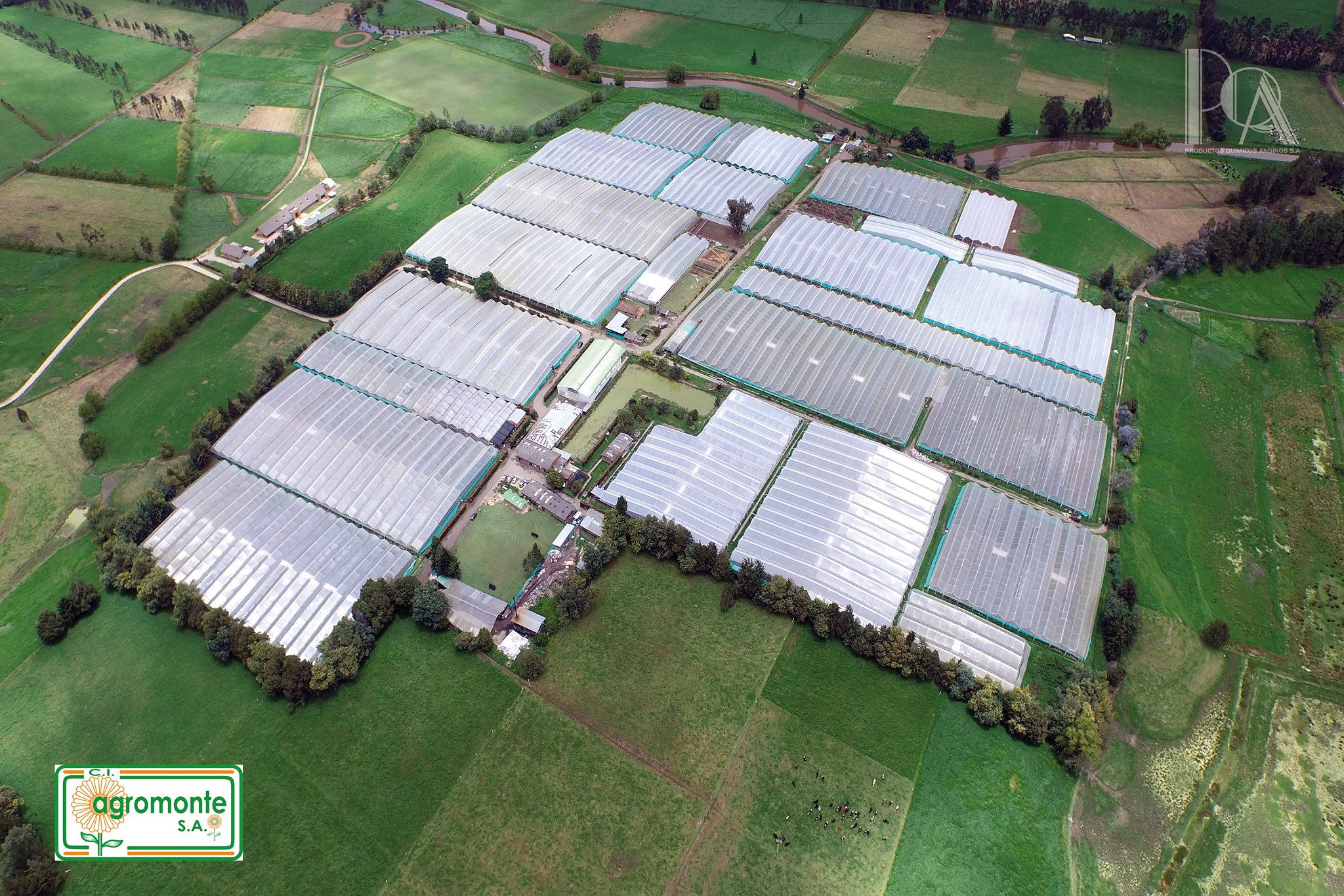 Ферма Agromonte SAS (Колумбия)