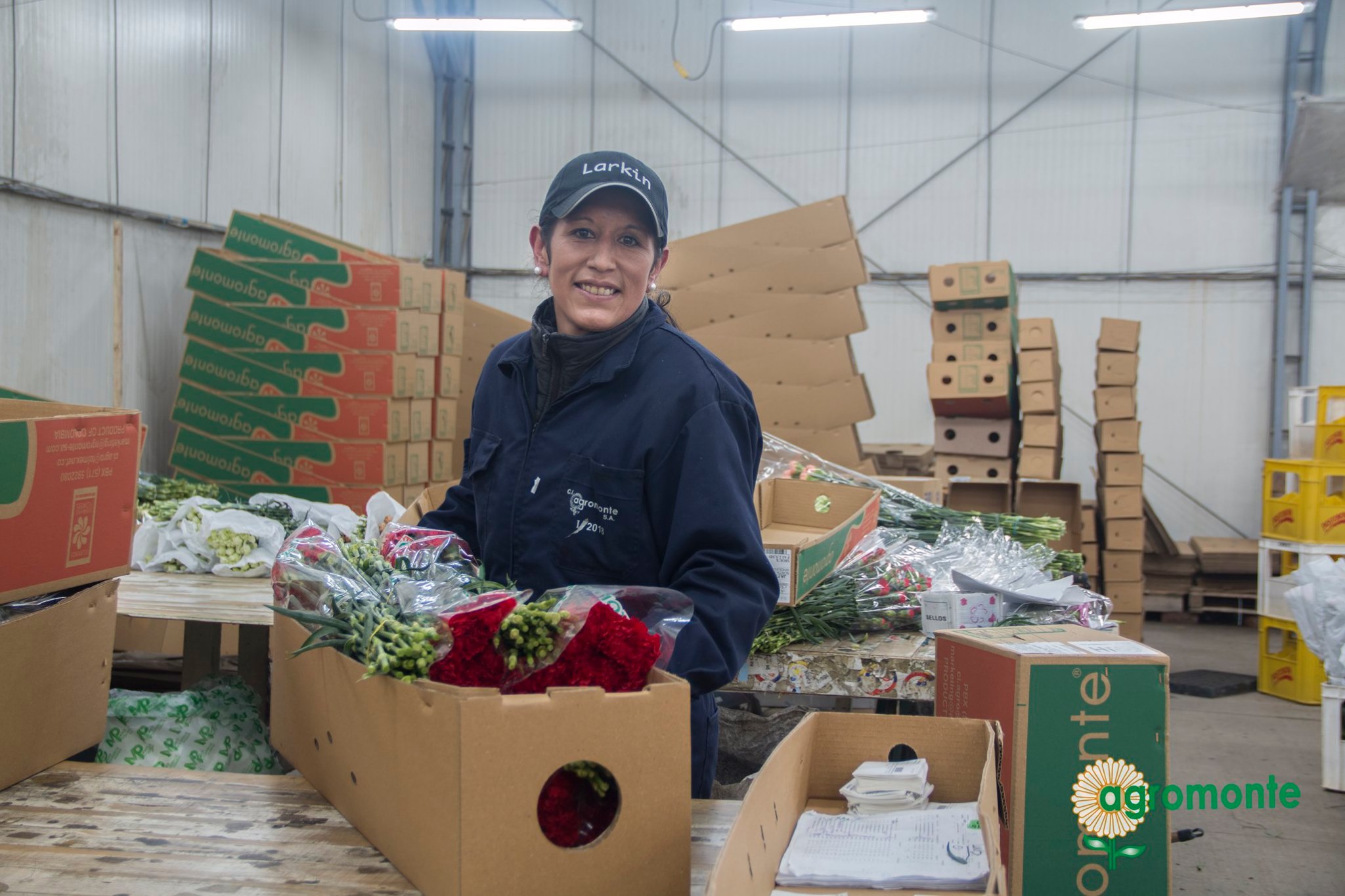 Ферма Agromonte SAS (Колумбия)