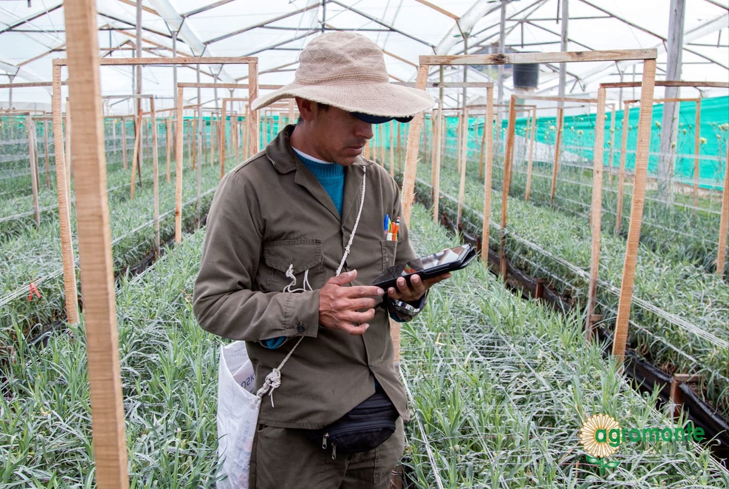 Ферма Agromonte SAS (Колумбия)