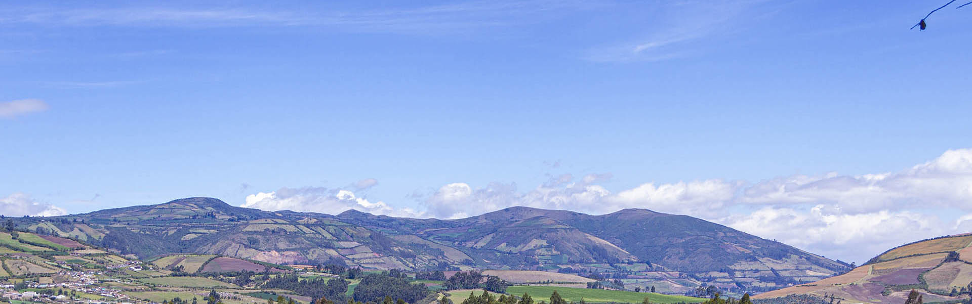 Alta Sierra Roses (Эквадор)