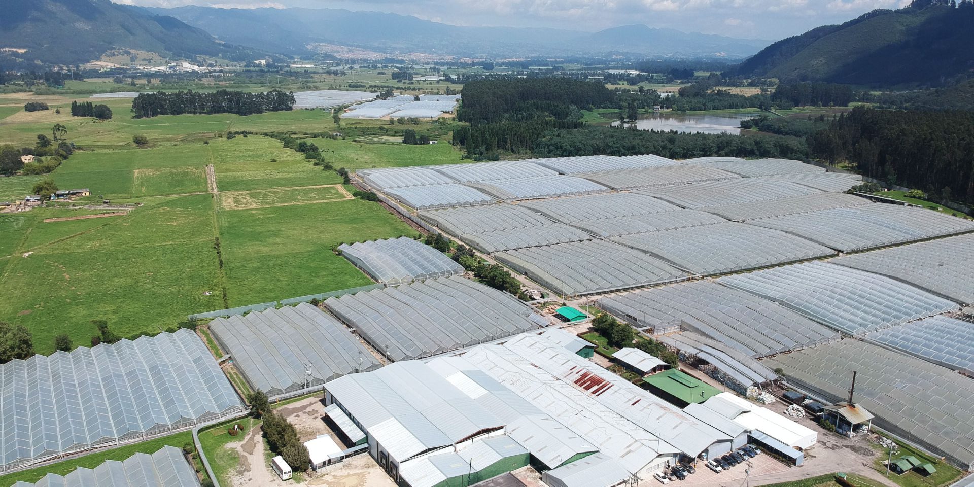 Ферма Aposentos Flower Farms (Колумбия)