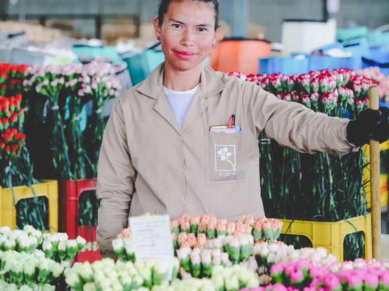Ферма Aposentos Flower Farms (Колумбия)