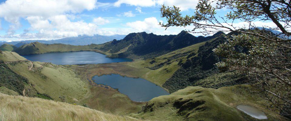 Ферма Agromonte SAS (Колумбия)