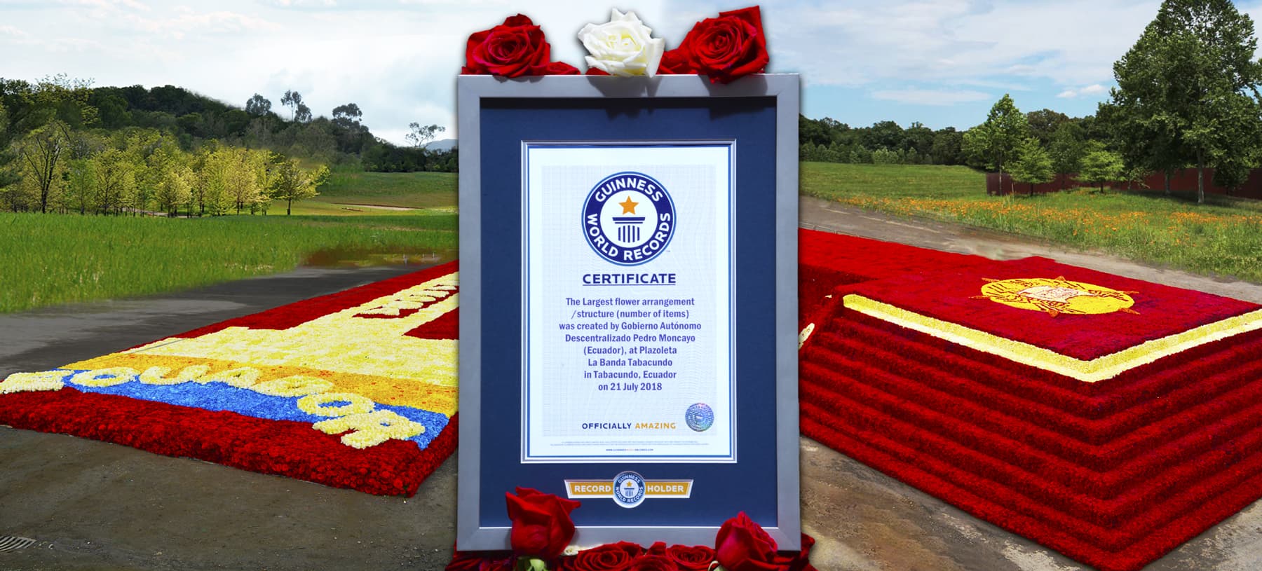 Ферма Agromonte SAS (Колумбия)