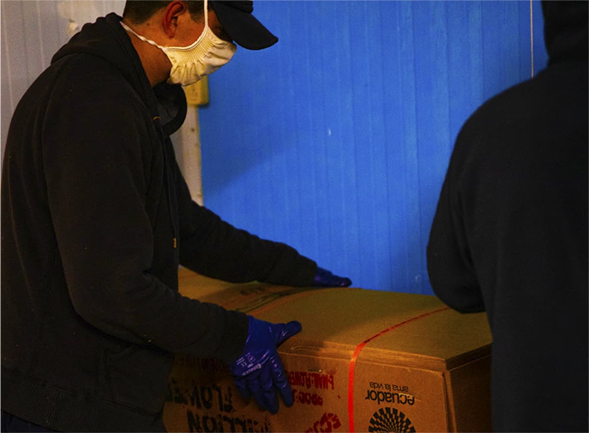 Ферма Agromonte SAS (Колумбия)