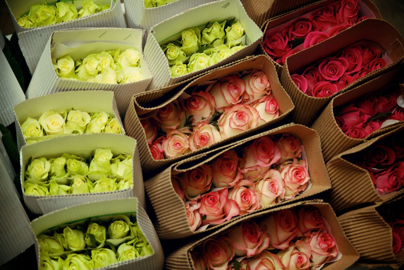 Ферма Baraka Roses (Кения)