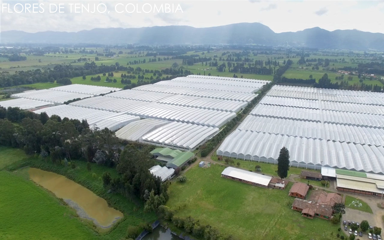 Esmeralda Farms (Эквадор, Колумбия)