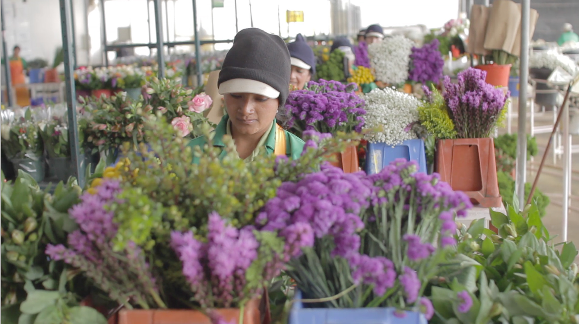 Esmeralda Farms (Эквадор, Колумбия)