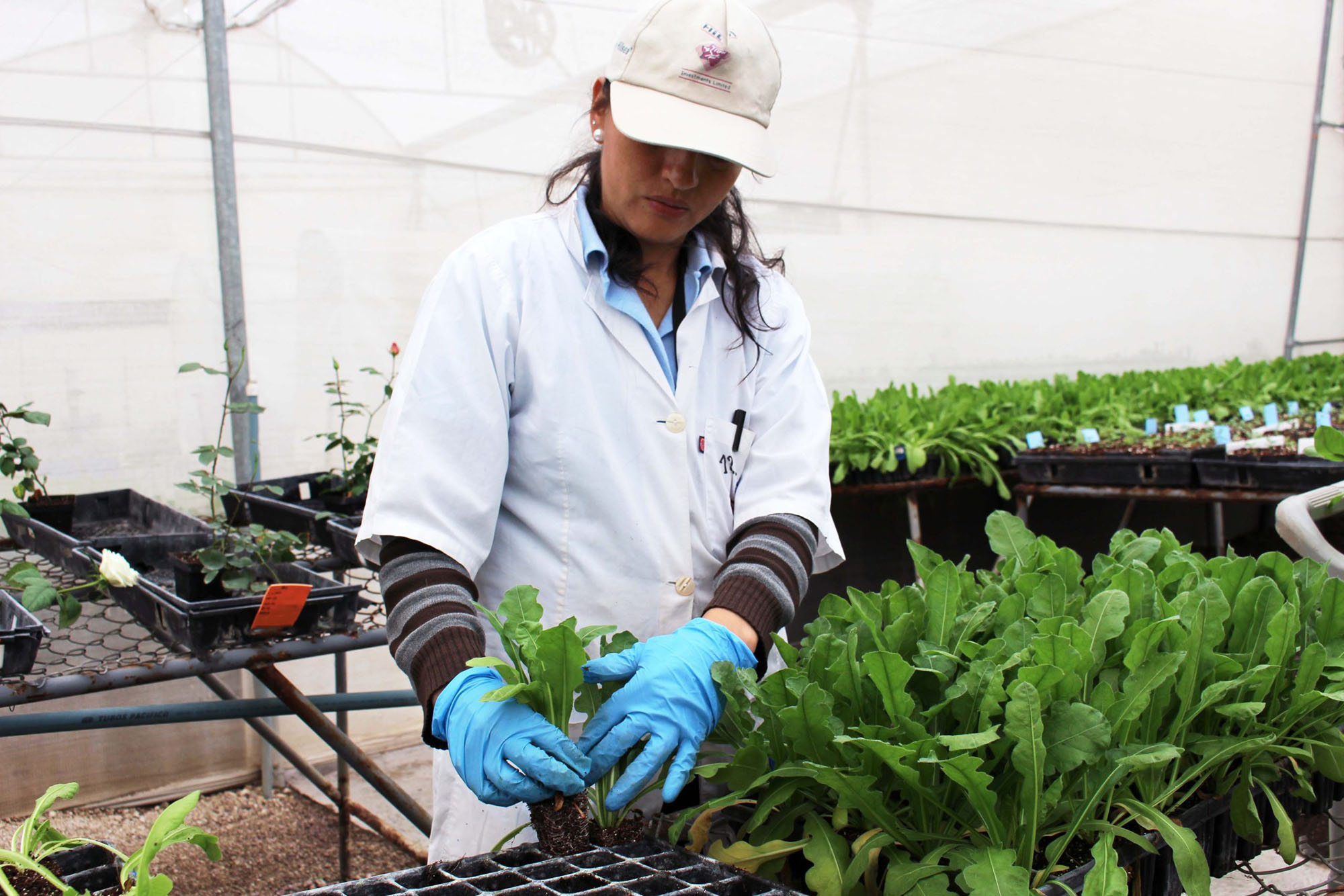 Esmeralda Farms (Эквадор, Колумбия)