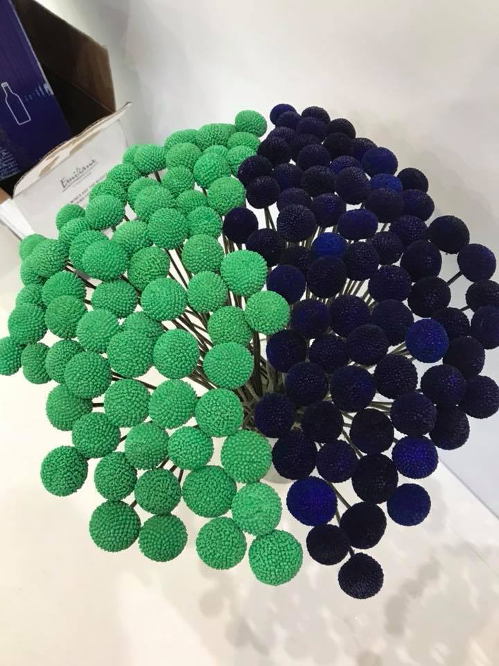 Ферма Eternal Flower (Эквадор)