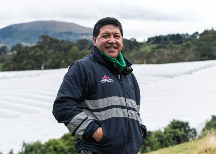 Ферма Everbloom Roses (Эквадор)