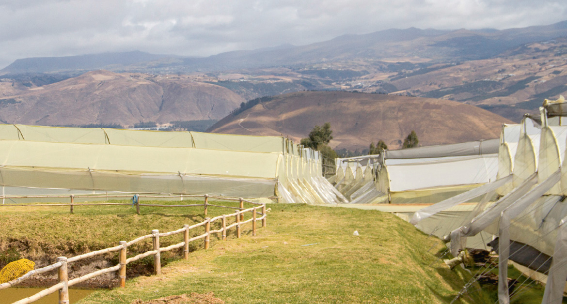 Florana (Эквадор)