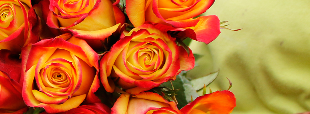 Florana (Эквадор)