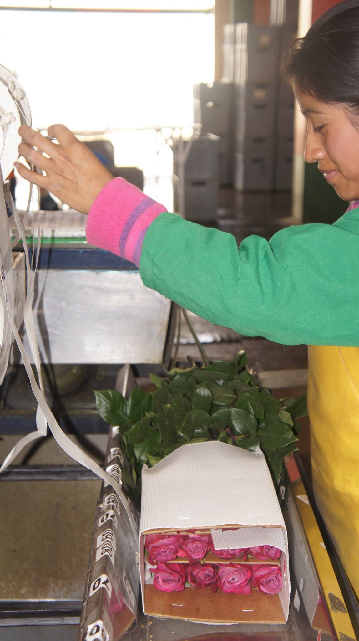 Florana (Эквадор)