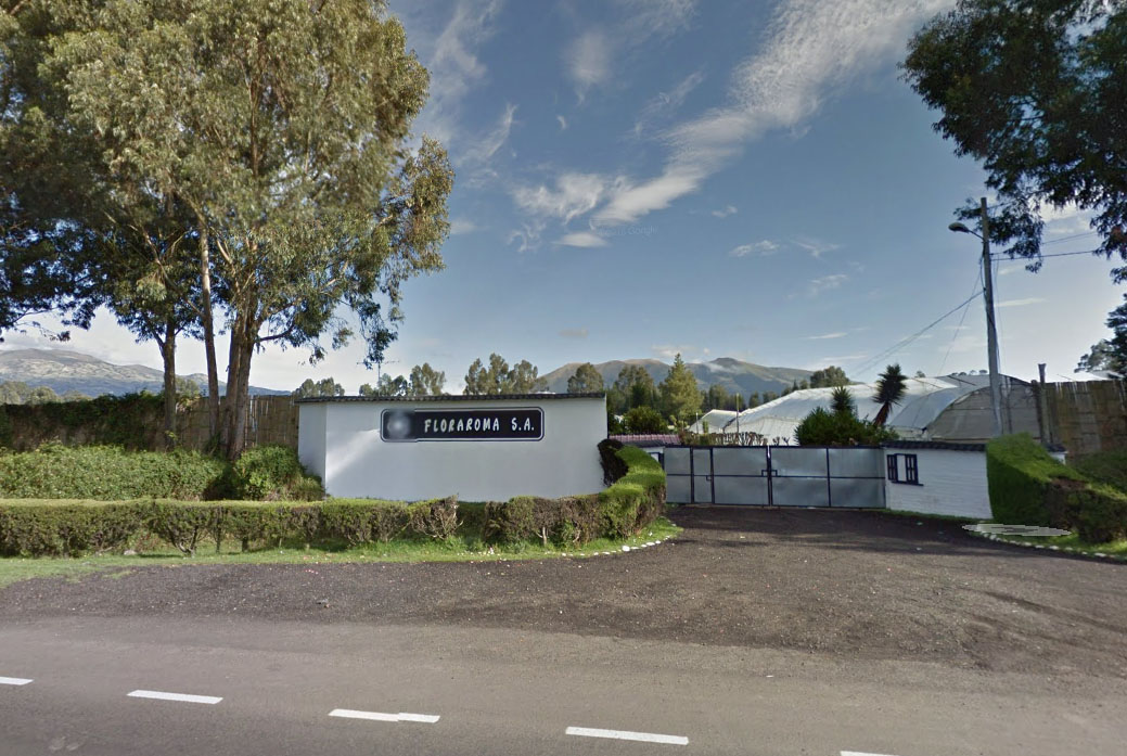 Ферма Floraroma (Эквадор)