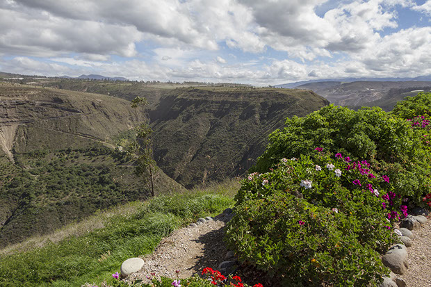 Florequisa (Эквадор)