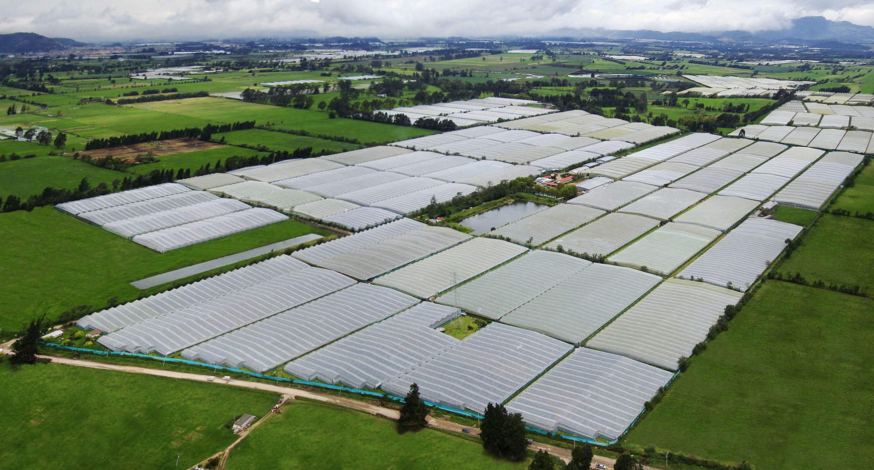 Flores San Juan (Колумбия)