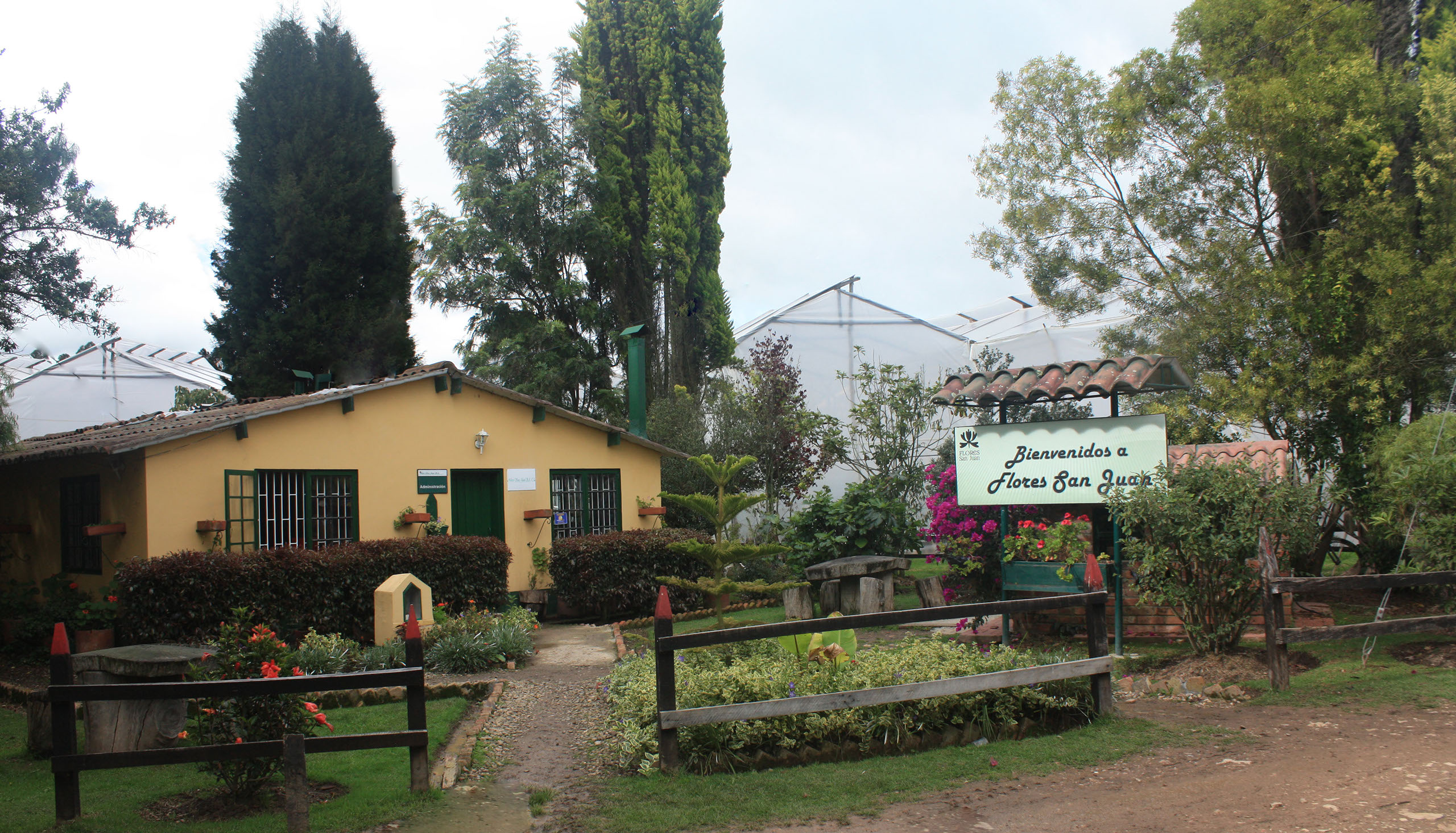 Flores San Juan (Колумбия)