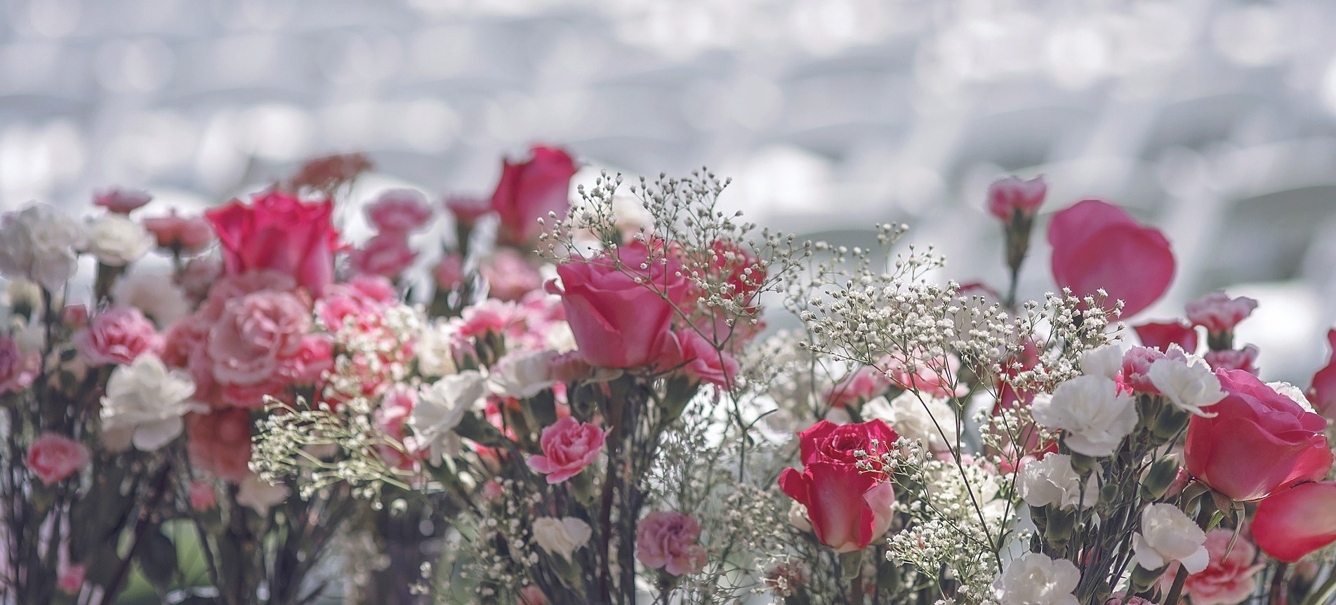 Flores San Juan (Колумбия)