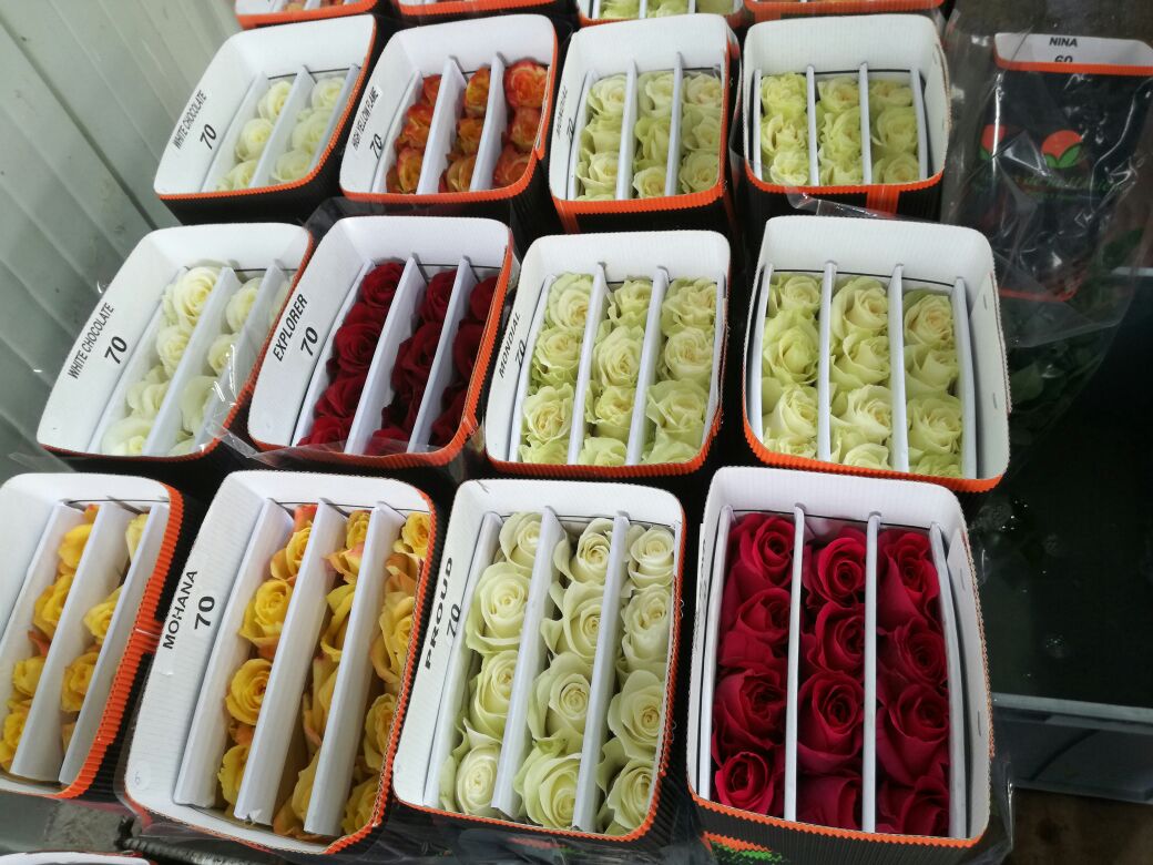 Ферма Flores de la Hacienda (Эквадор)