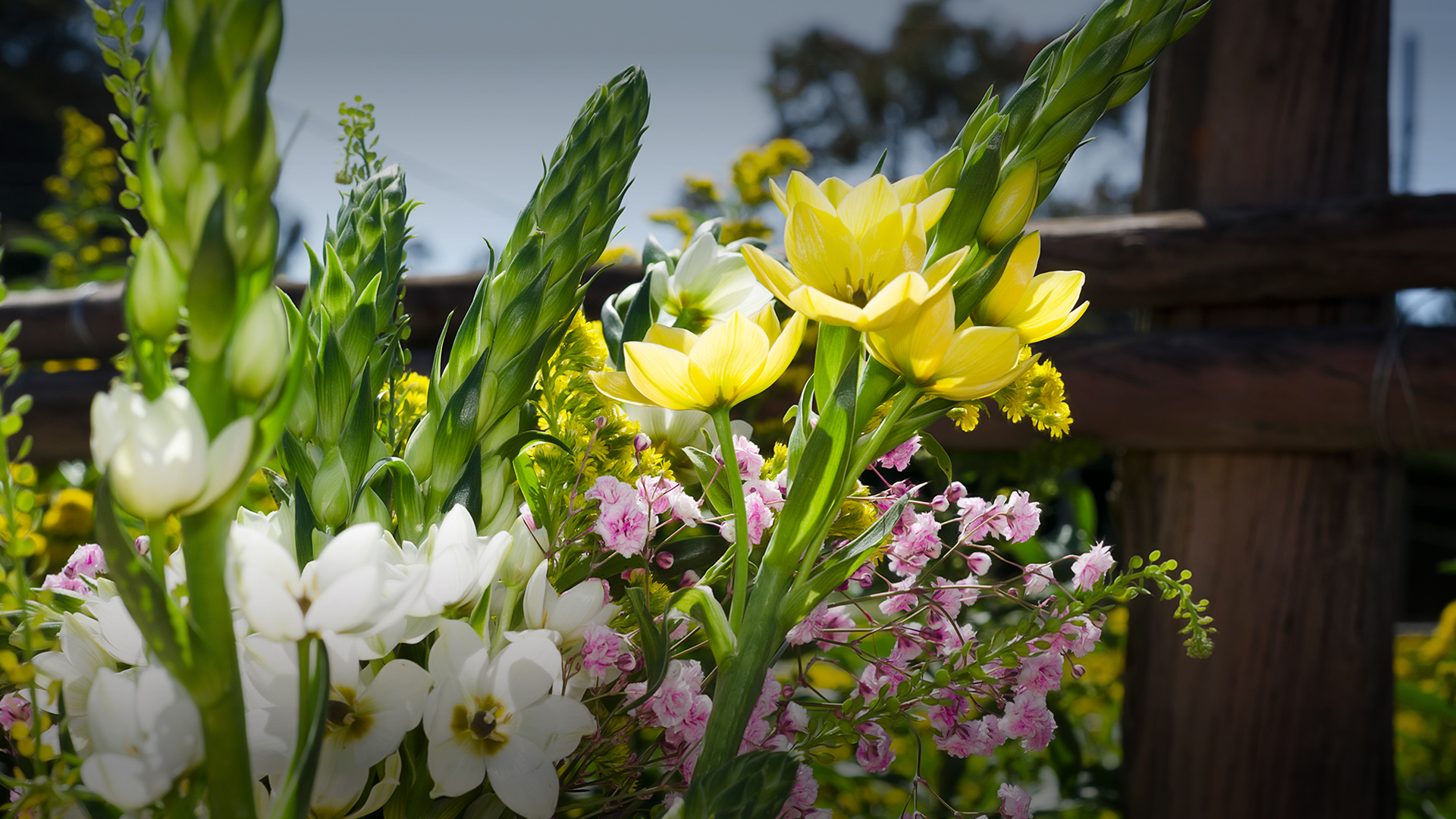 Ферма Florsani (Эквадор)