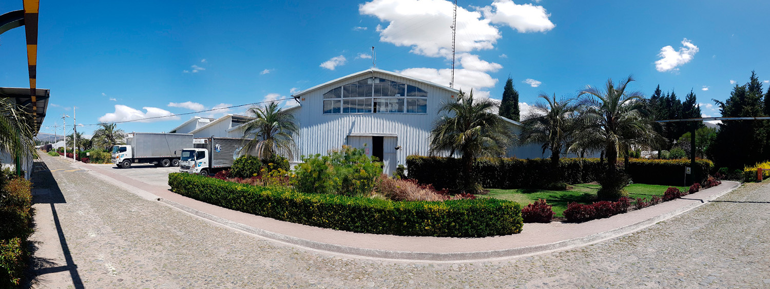 Ферма GARDAEXPORT S.A. (Эквадор)