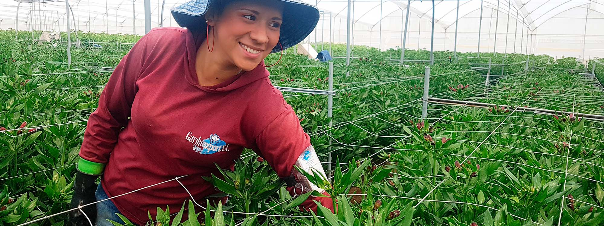 Ферма GARDAEXPORT S.A. (Эквадор)