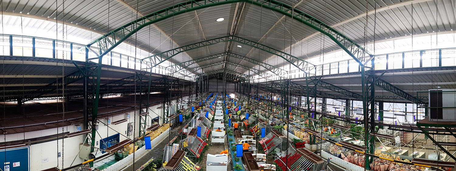 Ферма GARDAEXPORT S.A. (Эквадор)