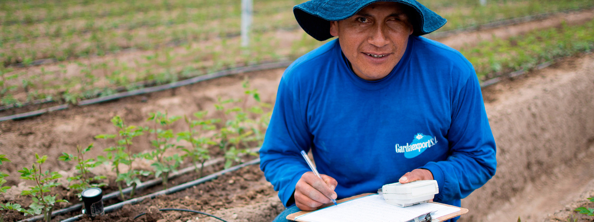 Ферма GARDAEXPORT S.A. (Эквадор)