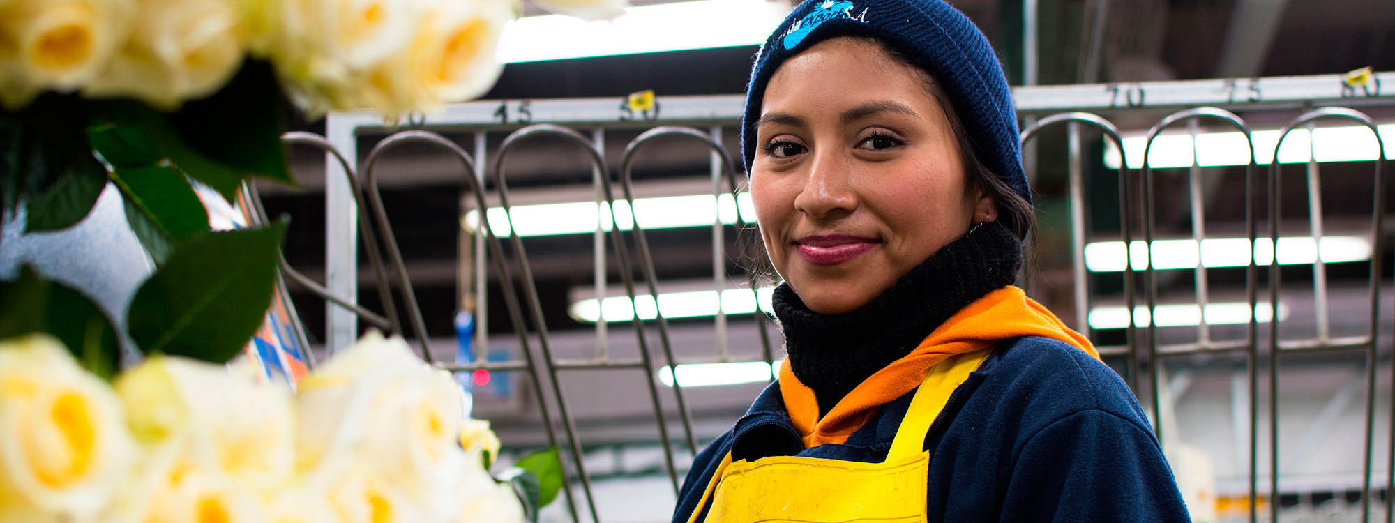 Ферма GARDAEXPORT S.A. (Эквадор)