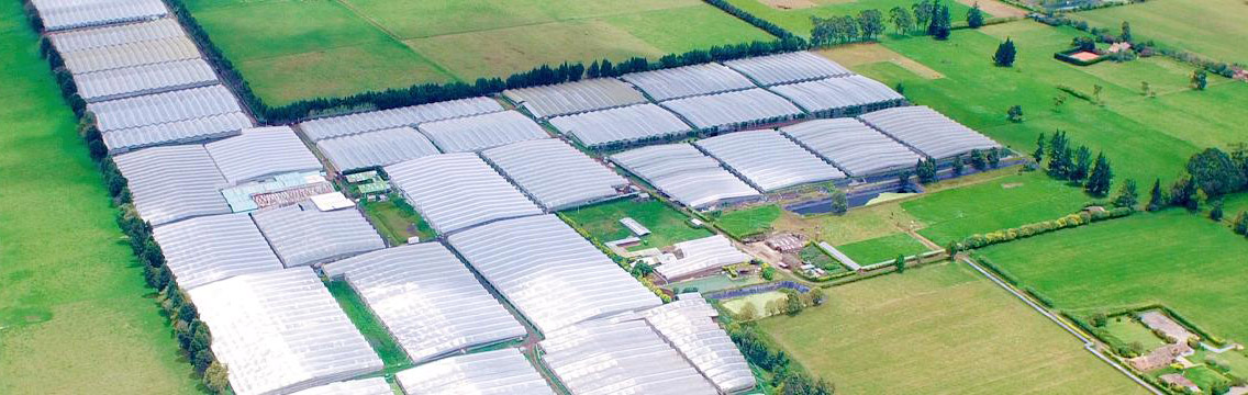 INVERPALMAS (Колумбия)