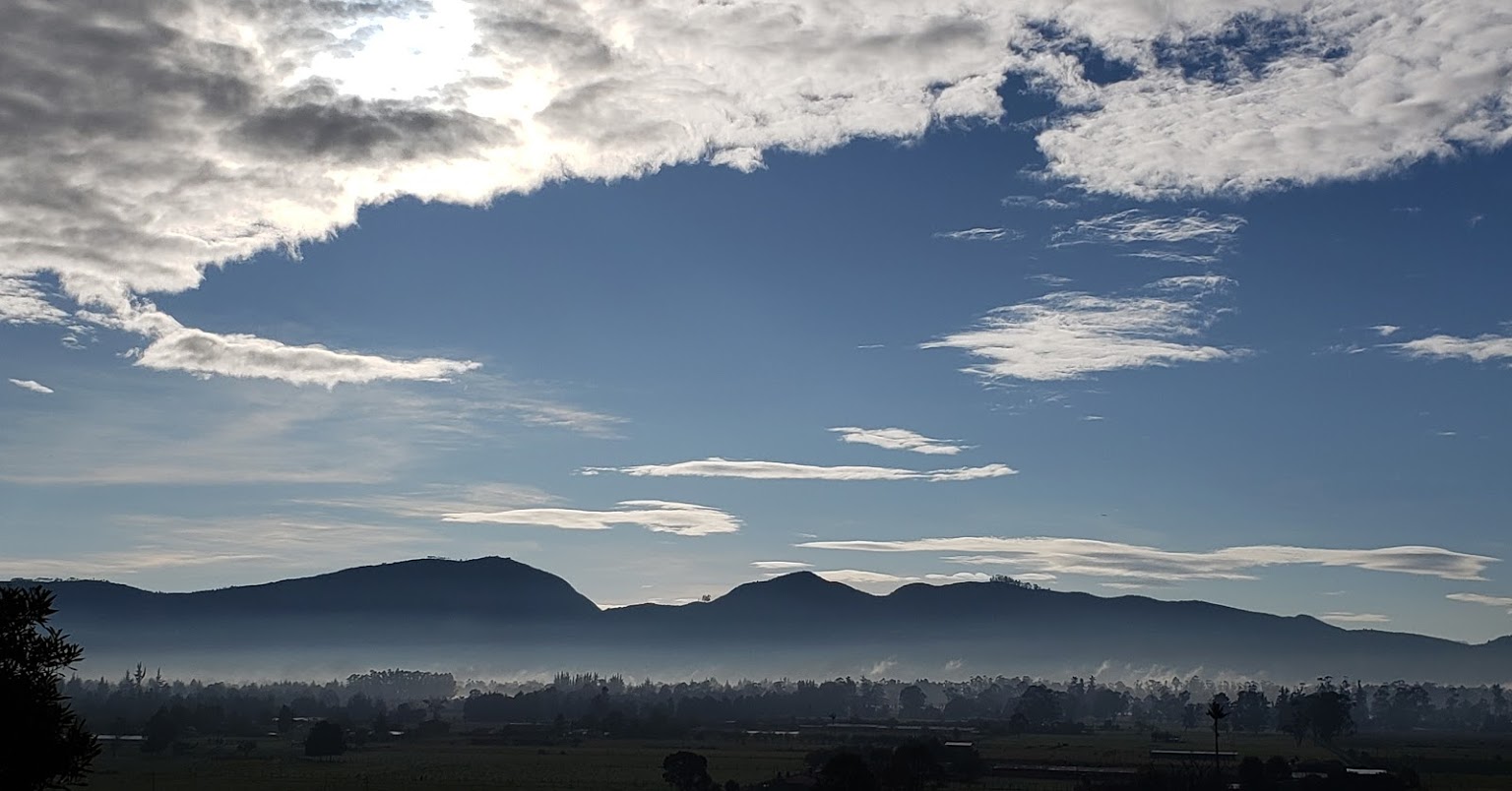 INVERPALMAS (Колумбия)