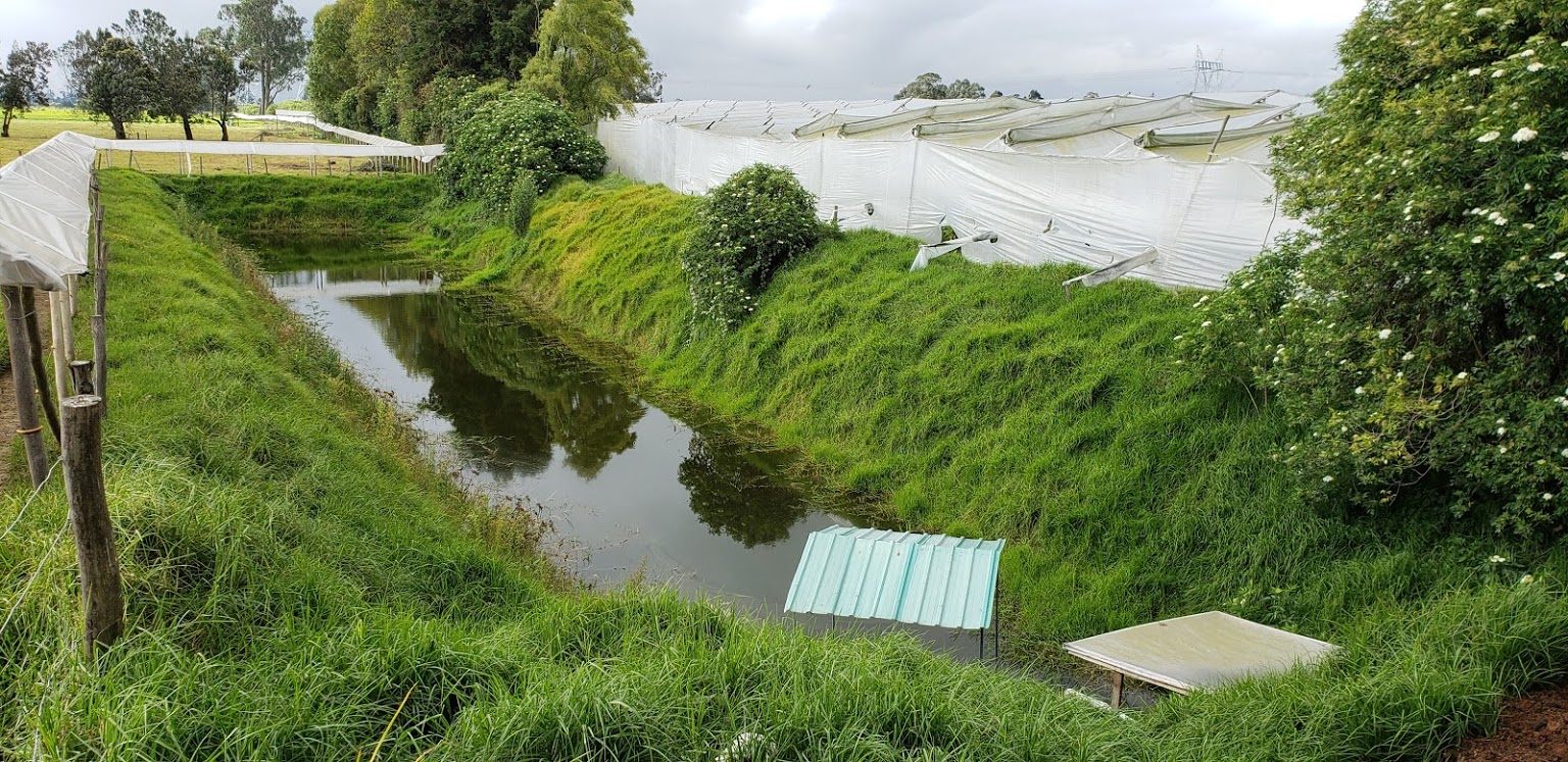 INVERPALMAS (Колумбия)