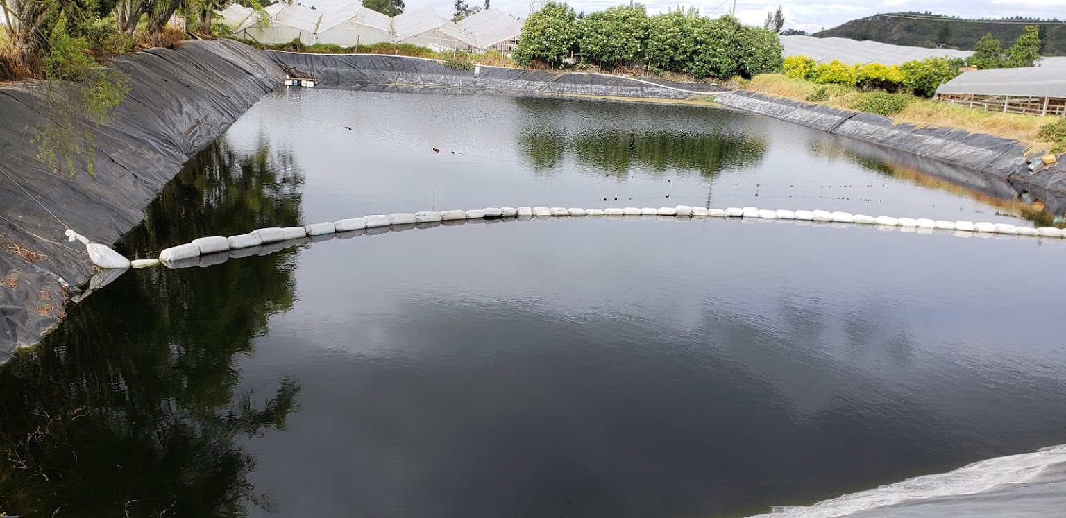 INVERPALMAS (Колумбия)