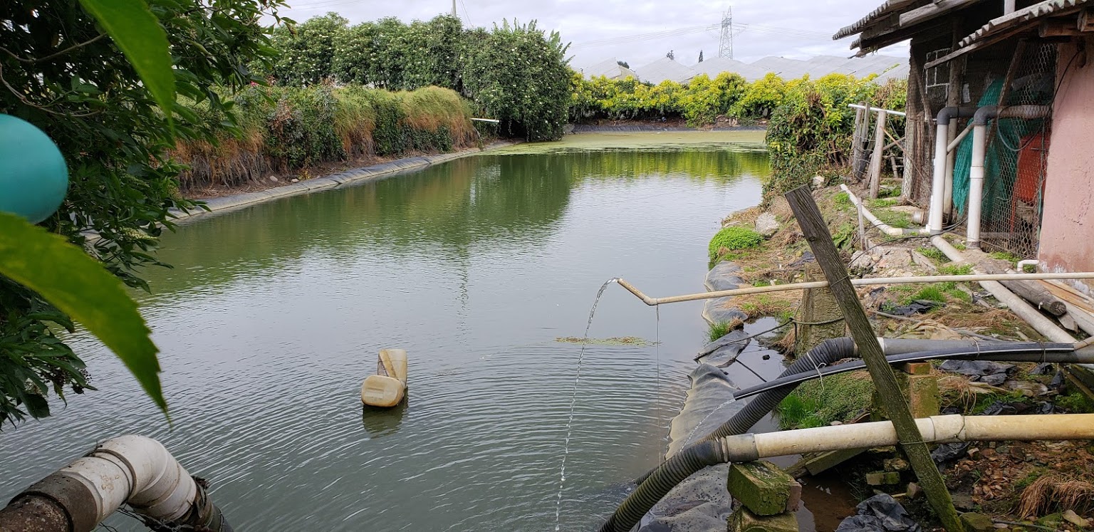 INVERPALMAS (Колумбия)