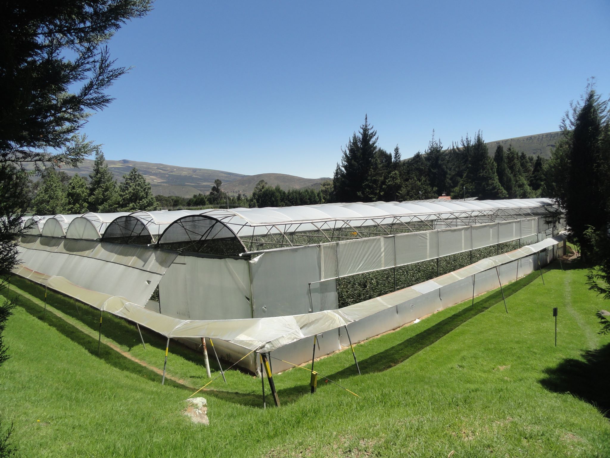 Ферма Josarflor SA (Эквадор)