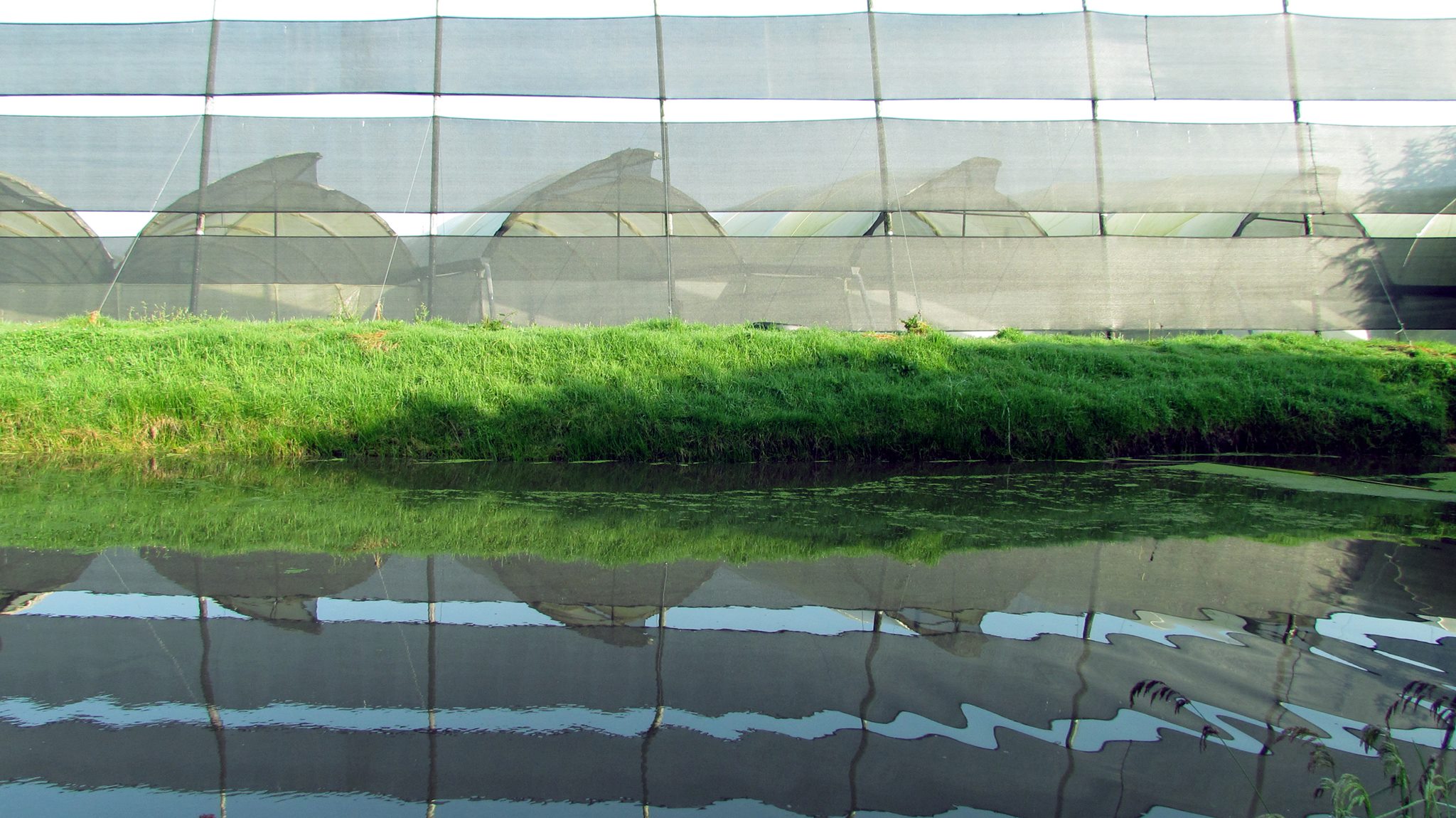 Ферма Josarflor SA (Эквадор)