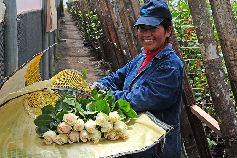 La Rosaleda (Эквадор)