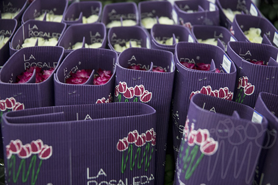 La Rosaleda (Эквадор)