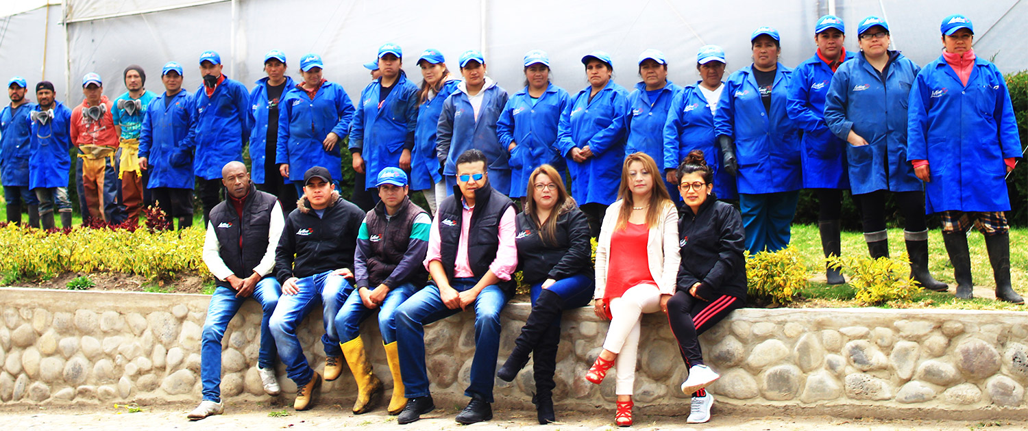 ферма Latina Farms (Эквадор)