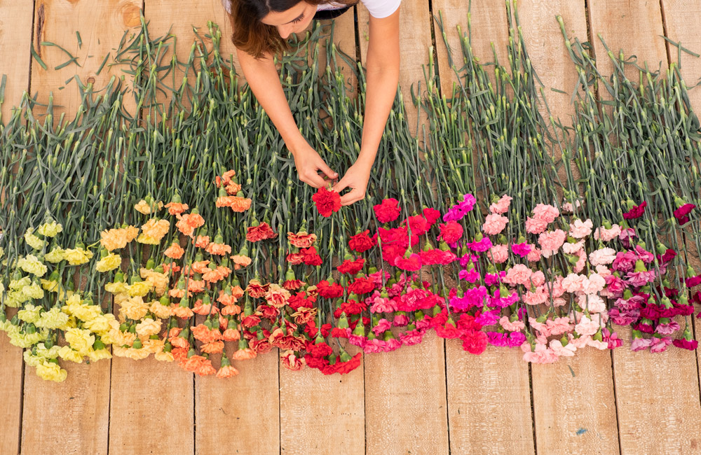 Luisiana Farms S.A. (Колумбия)