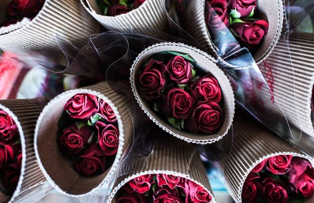 Ферма MT Elgon (Mount Elgon Orchards), Кения